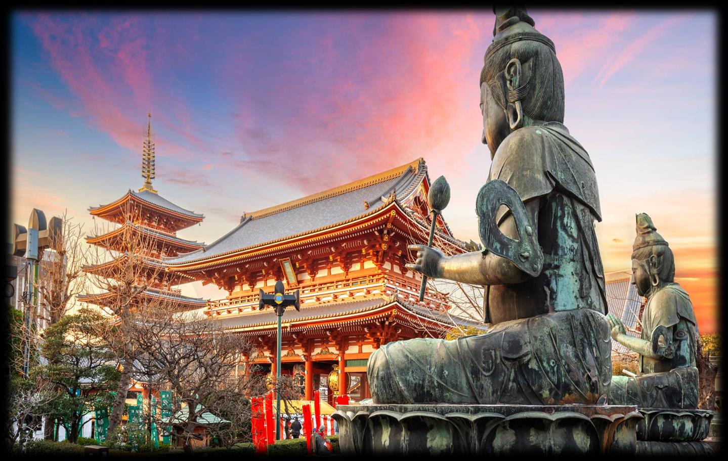 Japan tour